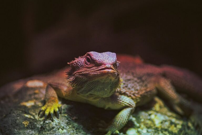 identifier behavior and metrics